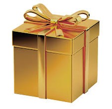 Yule Do Dozen