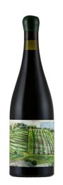 Pokolbin Vintners 2023 Shiraz